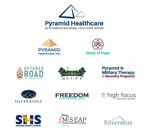 Combination of all logos under the Pyramid Healthcare brand.