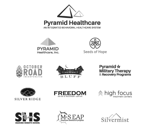 Combination of all logos under the Pyramid Healthcare brand.